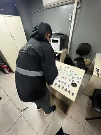 semillas-marihuana-turista-chile