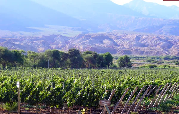 Captura de Pantalla 2023-08-03 a la(s) 10.41.29