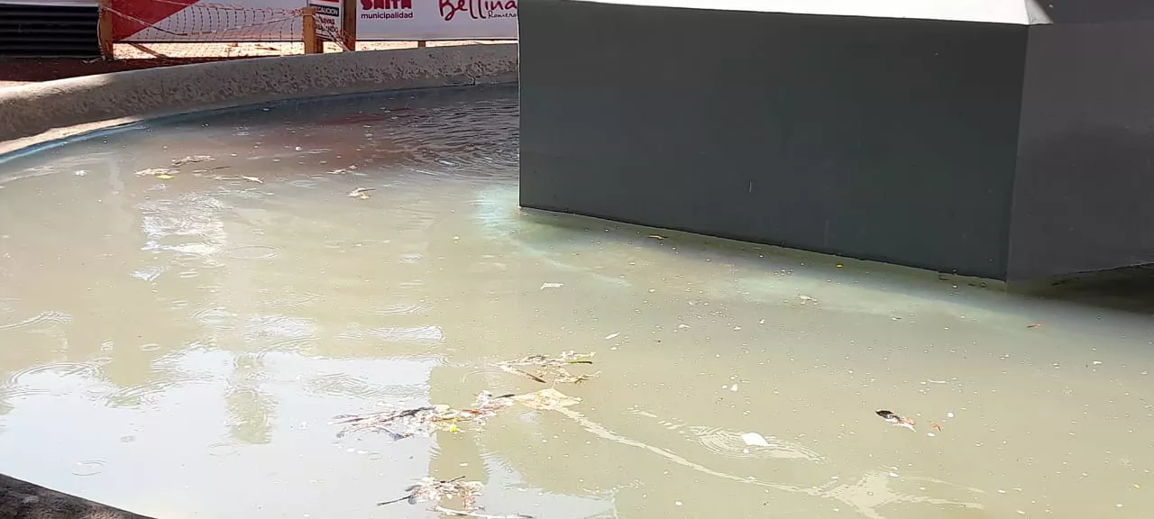 WhatsApp Image 2023-03-03 at 11.42.09