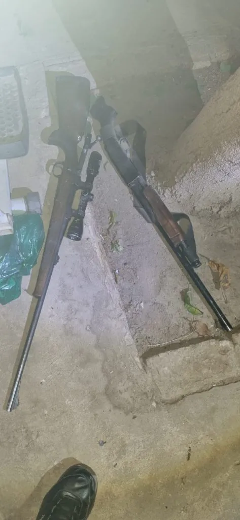 9aa67f85-9333-414c-b431-4661422df8aa-473x1024