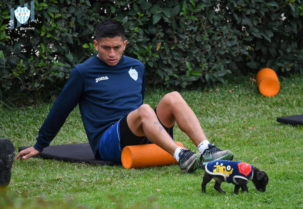 Perrito1