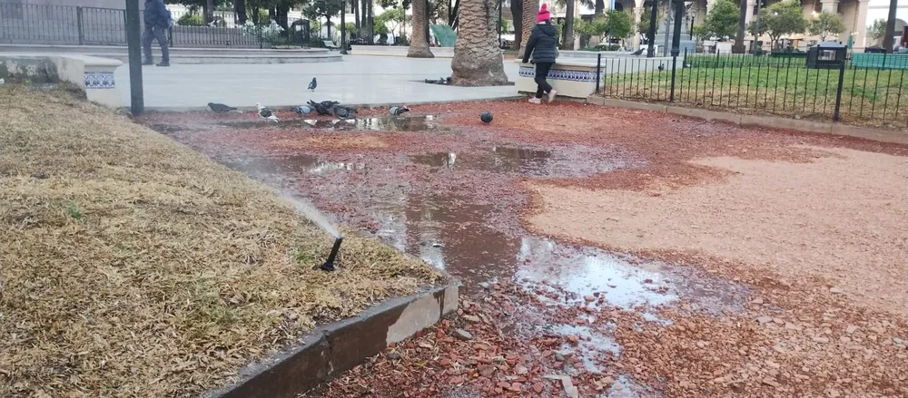 WhatsApp Image 2023-09-13 at 07.43.06