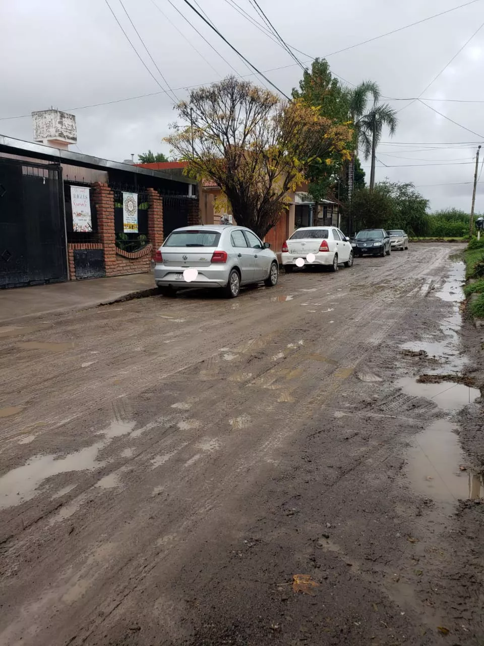 WhatsApp Image 2023-04-25 at 07.12.19