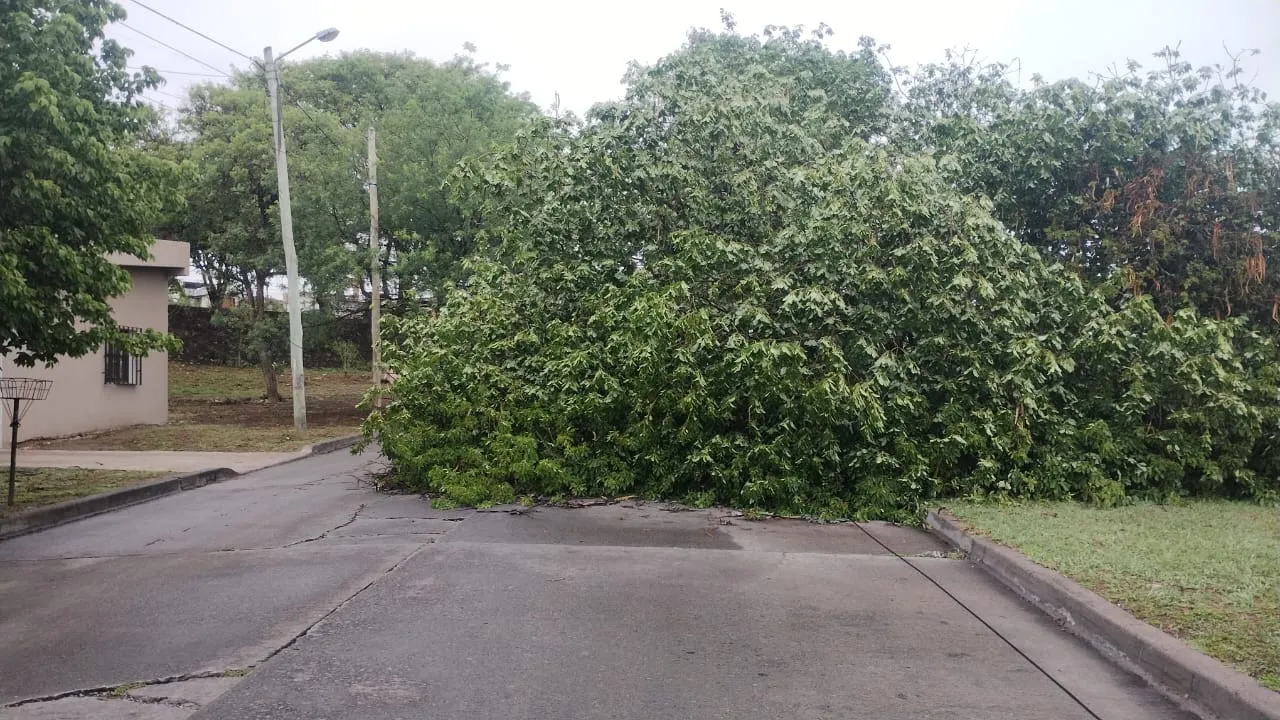 WhatsApp Image 2023-12-04 at 07.35.05