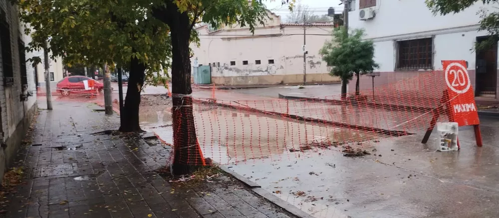 WhatsApp Image 2023-04-24 at 08.24.19 (1)