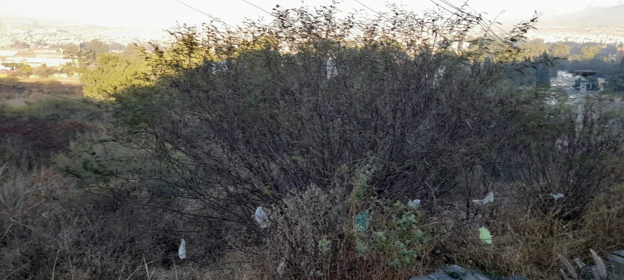 WhatsApp Image 2022-08-17 at 8.48.44 AM