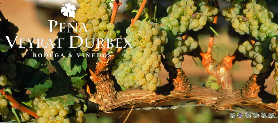 Captura de Pantalla 2023-08-03 a la(s) 10.45.08