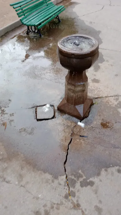 rotura bebedero plaza belgrano rotura bebedero plaza belgrano