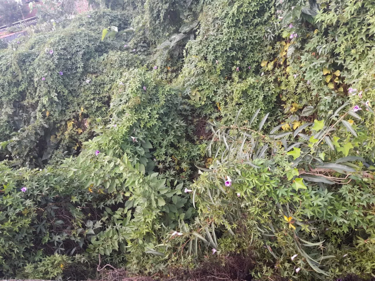 WhatsApp Image 2023-04-10 at 12.34.33