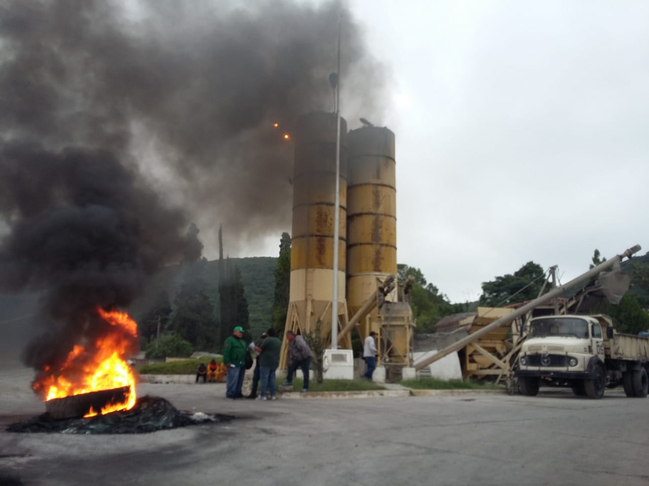 manifestacion planta ohmigonera