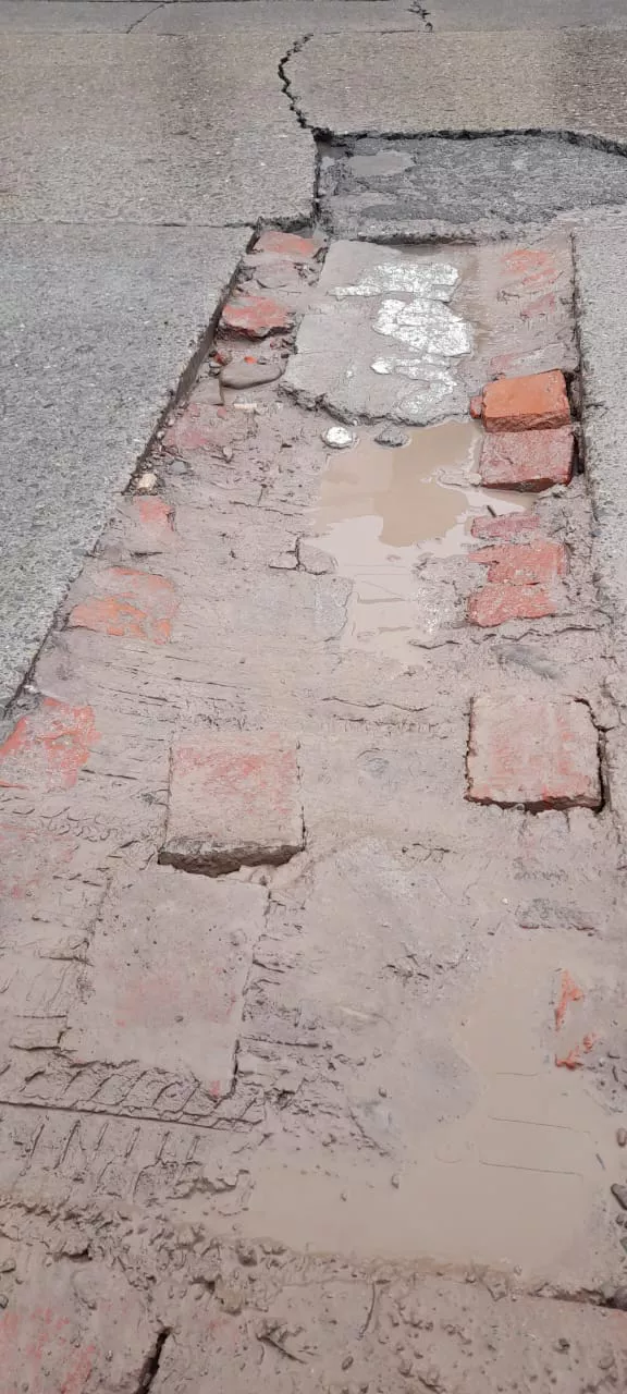 WhatsApp Image 2023-04-24 at 10.30.24