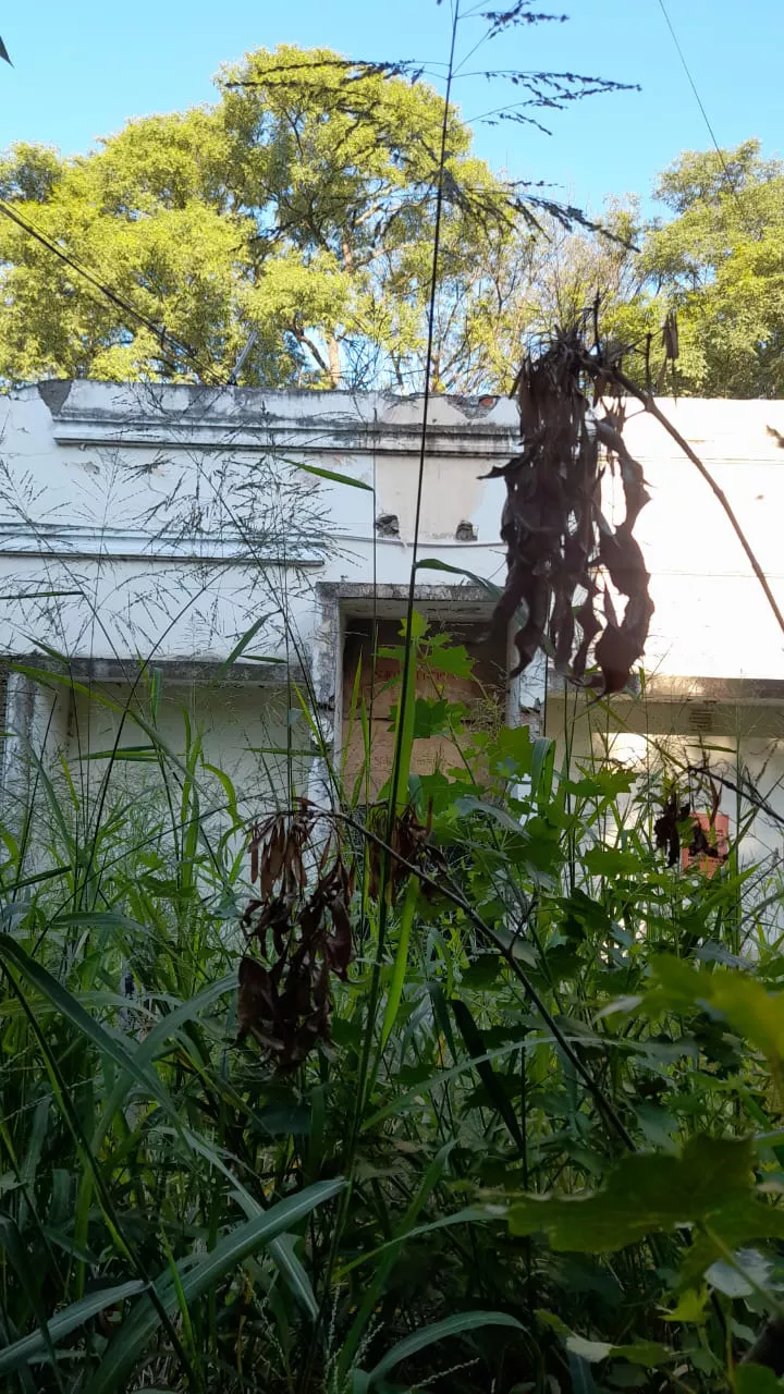 WhatsApp Image 2023-03-20 at 09.32.18 (1)