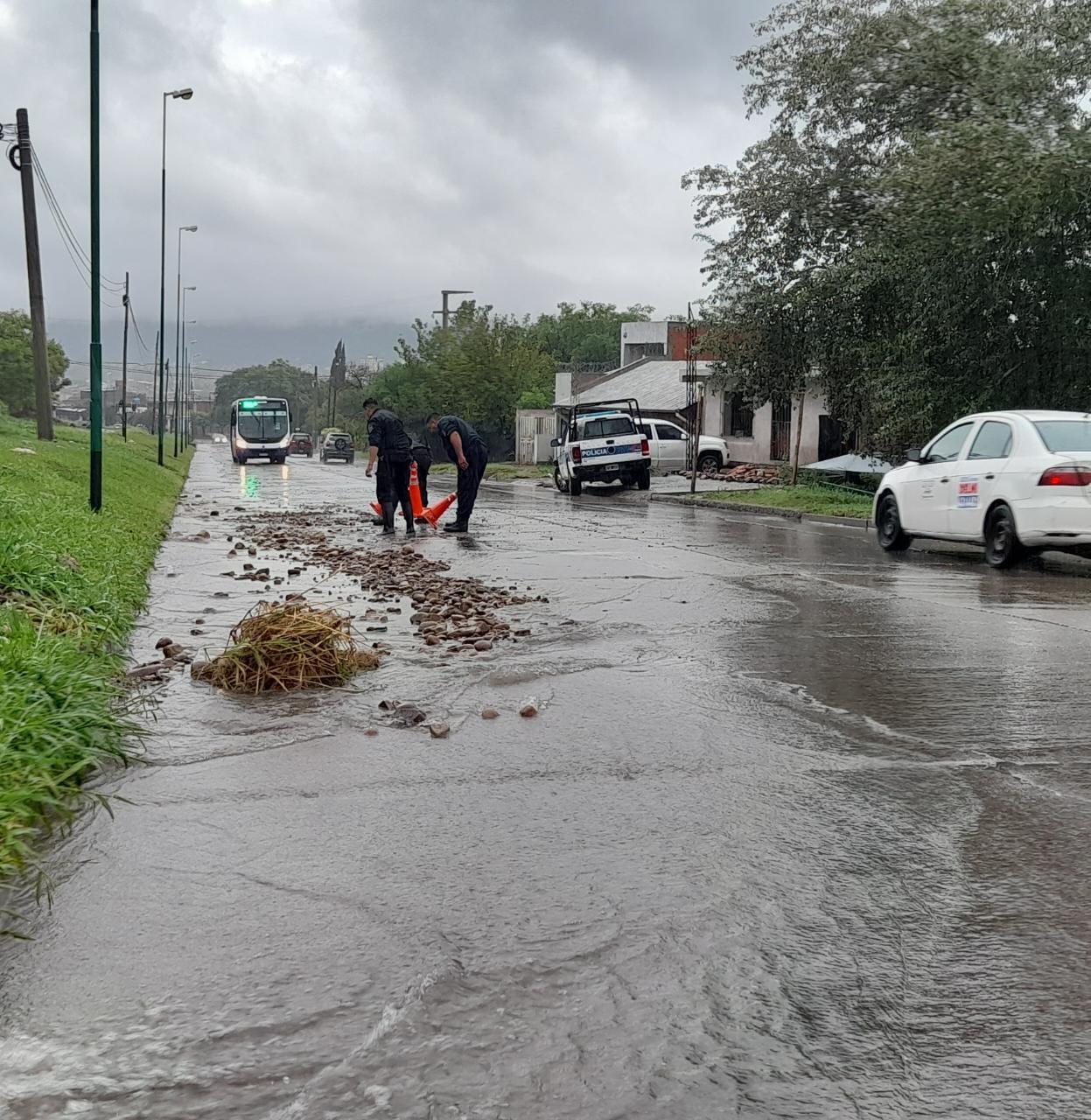 WhatsApp Image 2023-01-23 at 08.27.16