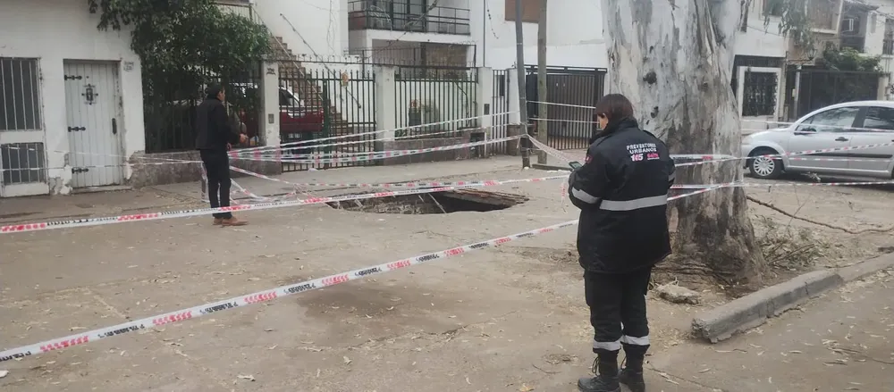 WhatsApp Image 2023-09-08 at 09.11.12