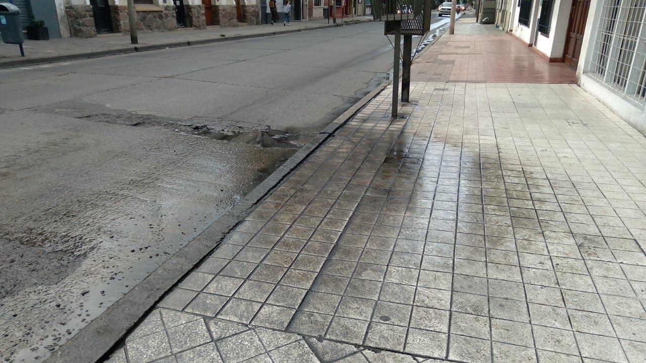 bache 1