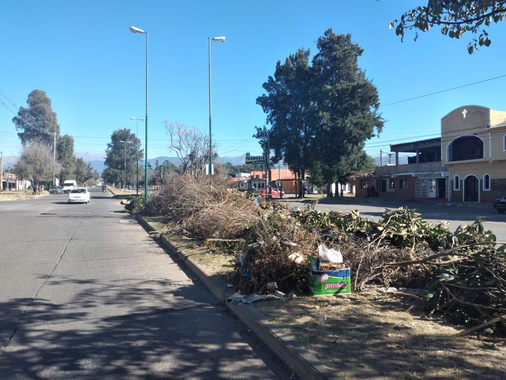 castañares basural 1