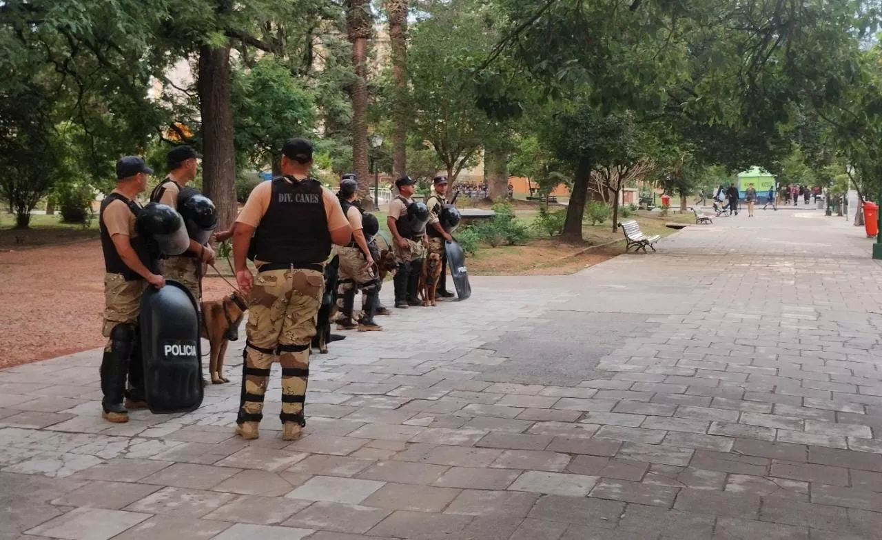 WhatsApp Image 2023-03-01 at 07.43.29