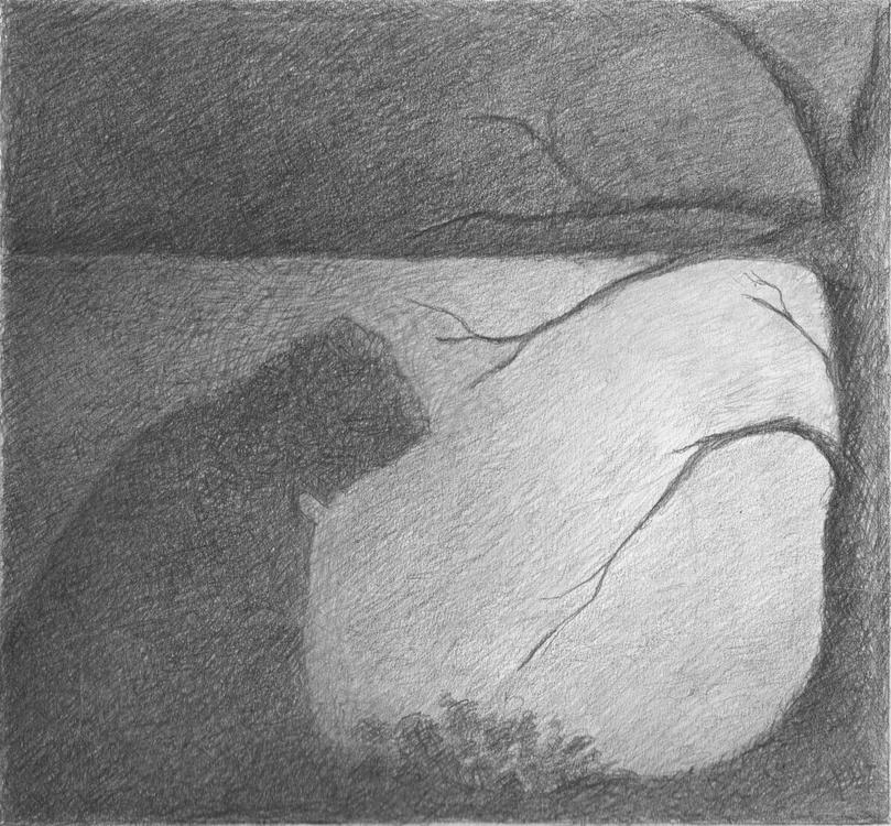 IMAGEN Dibujo. Junio