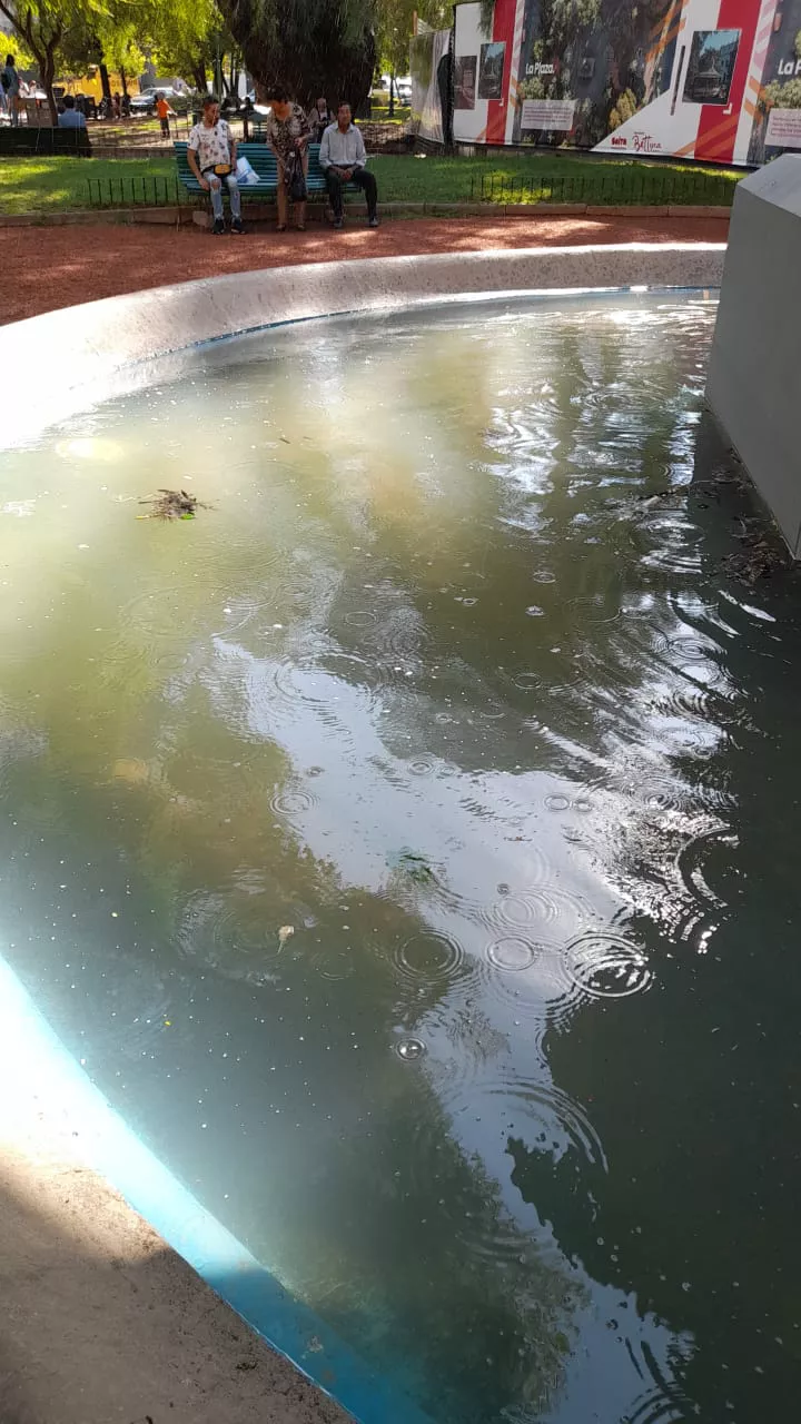 WhatsApp Image 2023-03-03 at 12.14.13