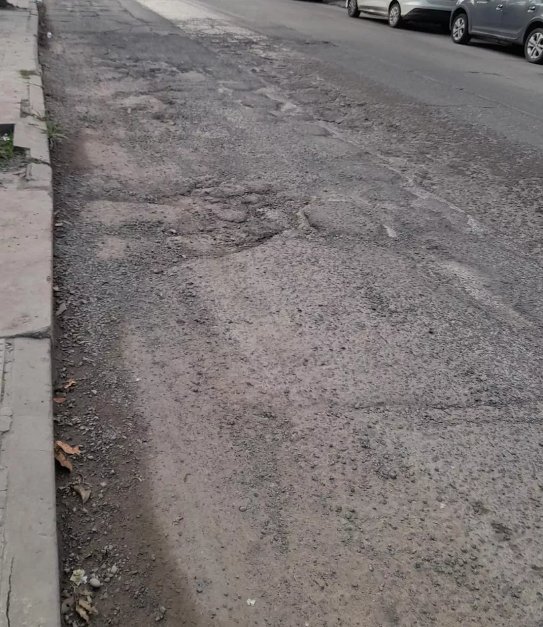 WhatsApp Image 2023-03-30 at 08.17.42