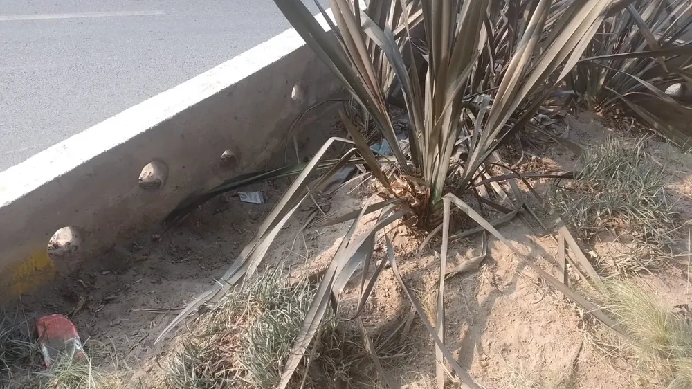 WhatsApp Image 2023-11-21 at 10.27.00