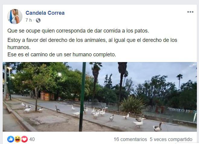 WhatsApp Image 2020-03-26 at 12.05.44