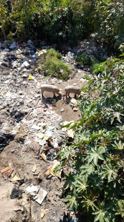 WhatsApp Image 2022-10-13 at 11.02.49