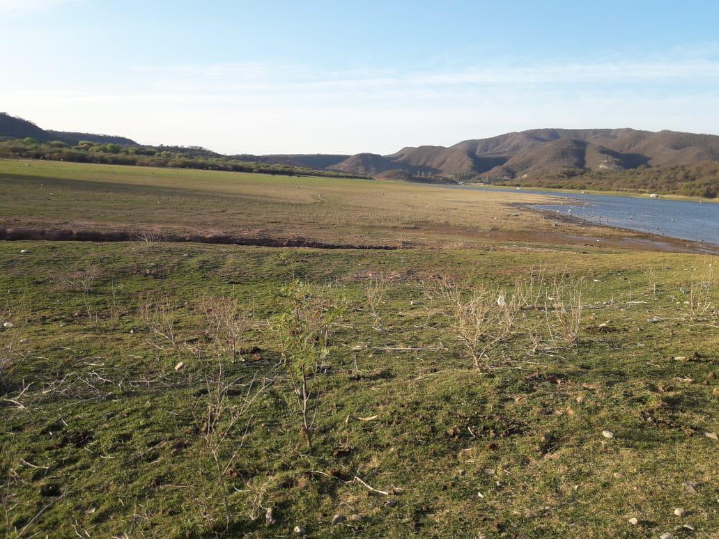 WhatsApp Image 2022-10-14 at 08.59.52