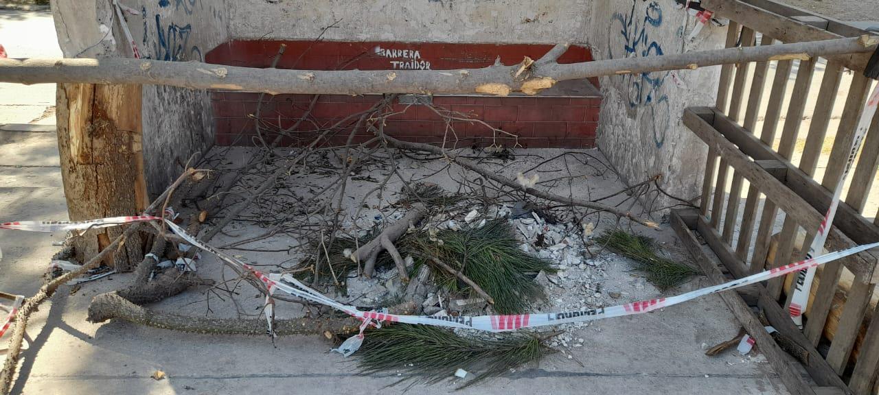 parador parque la vega 1