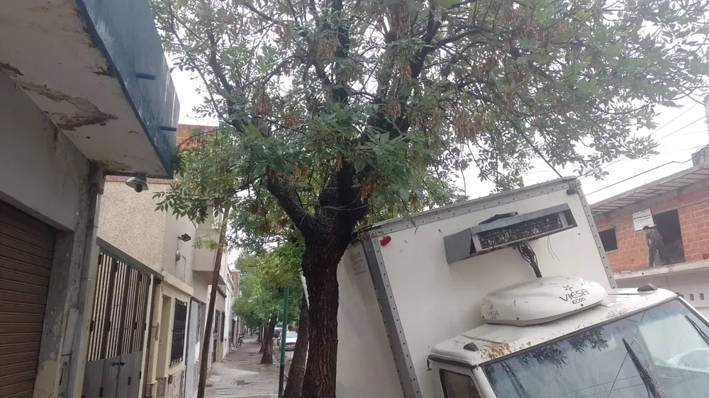 camión atascado tucumán al 200 