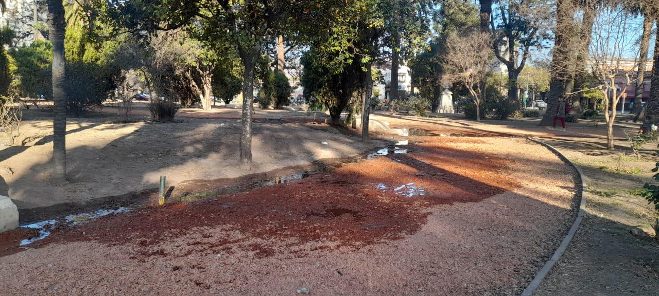 WhatsApp Image 2022-09-23 at 08.31.39