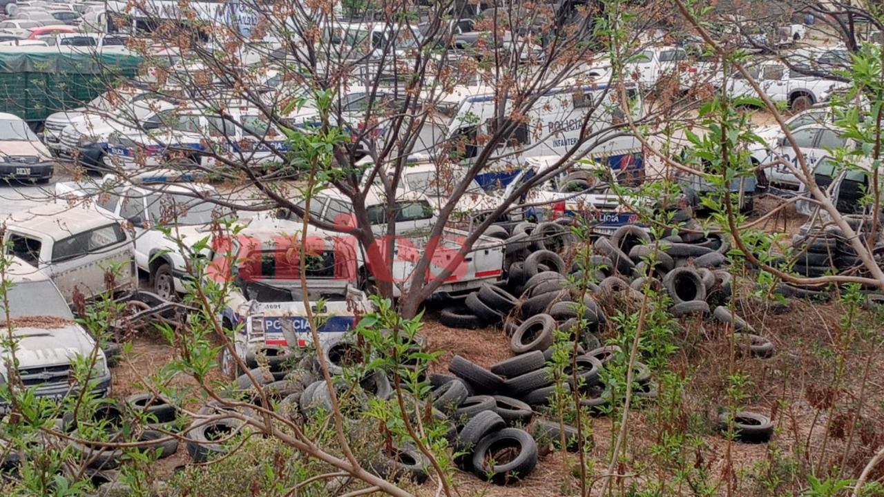 WhatsApp Image 2021-09-08 at 09.28.30 (1)