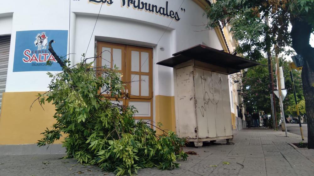 WhatsApp Image 2022-01-04 at 07.32.06