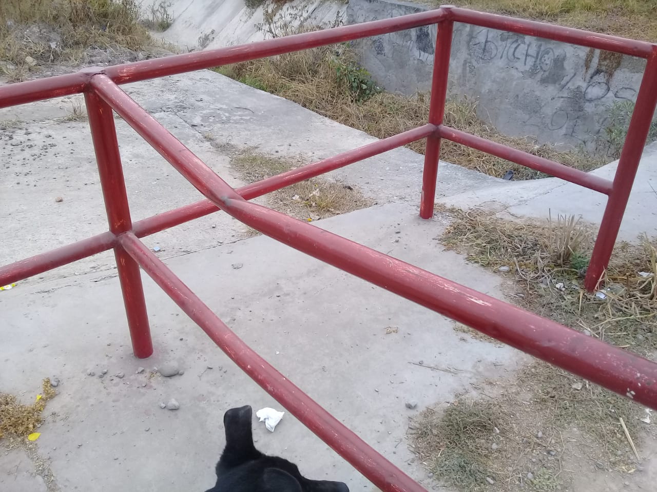 WhatsApp Image 2019-06-10 at 10.47.31 (1)