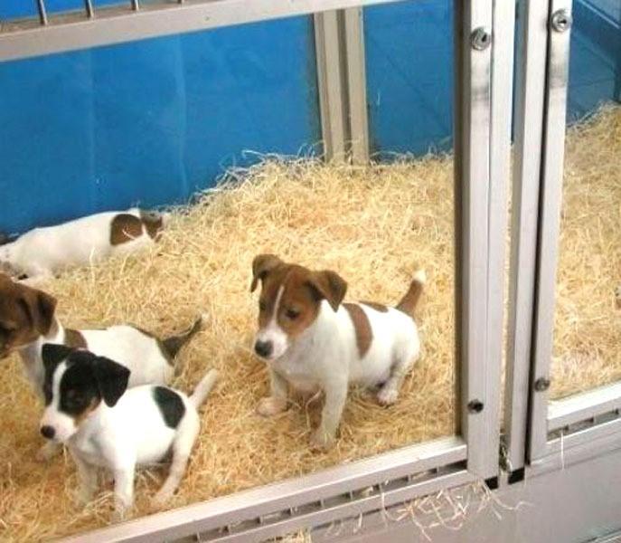 WhatsApp Image 2021-04-08 at 7.58.31 PM