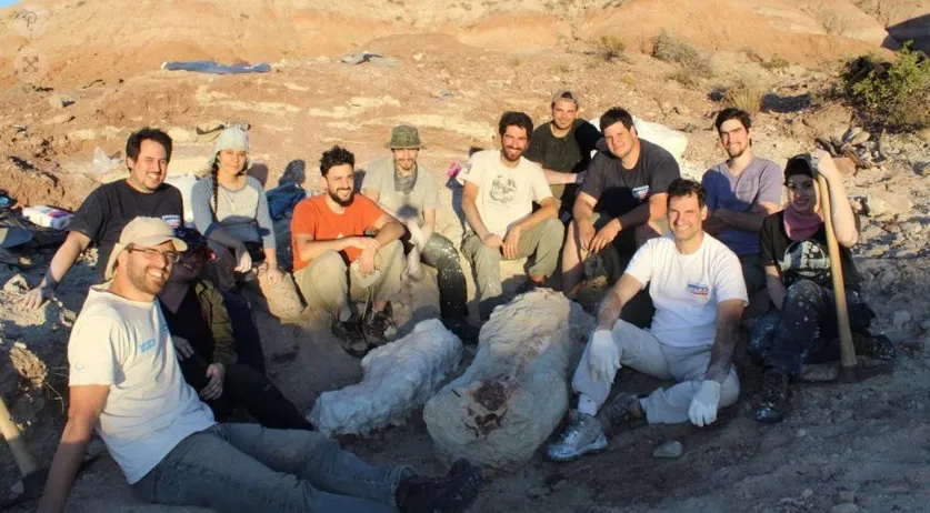 WhatsApp Image 2023-05-18 at 18.28.39