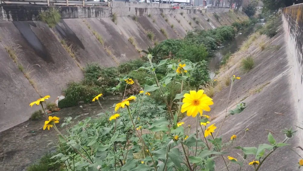 WhatsApp Image 2023-06-05 at 08.28.28