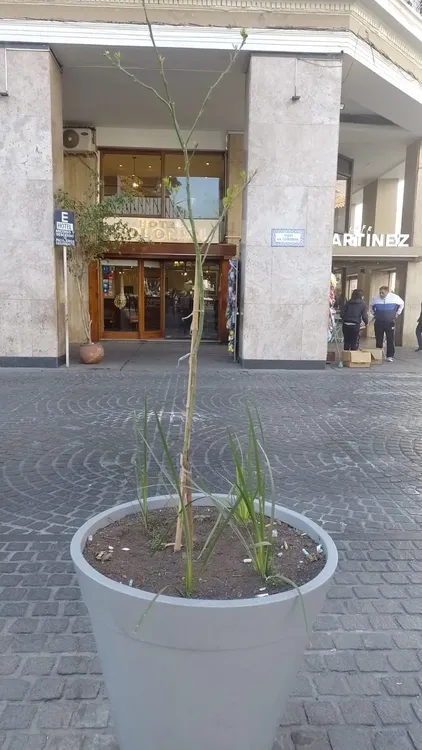 WhatsApp Image 2023-07-31 at 11.25.14 (1)