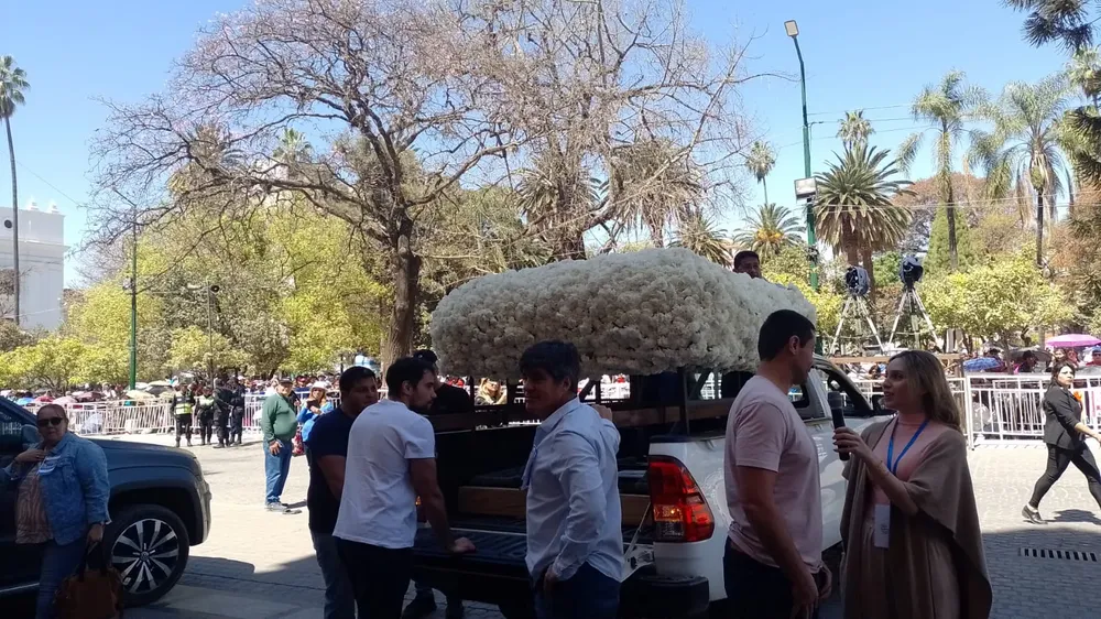 Corona de claveles 2 