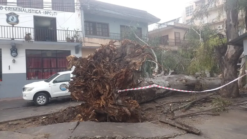 WhatsApp Image 2023-12-04 at 07.29.44 - copia