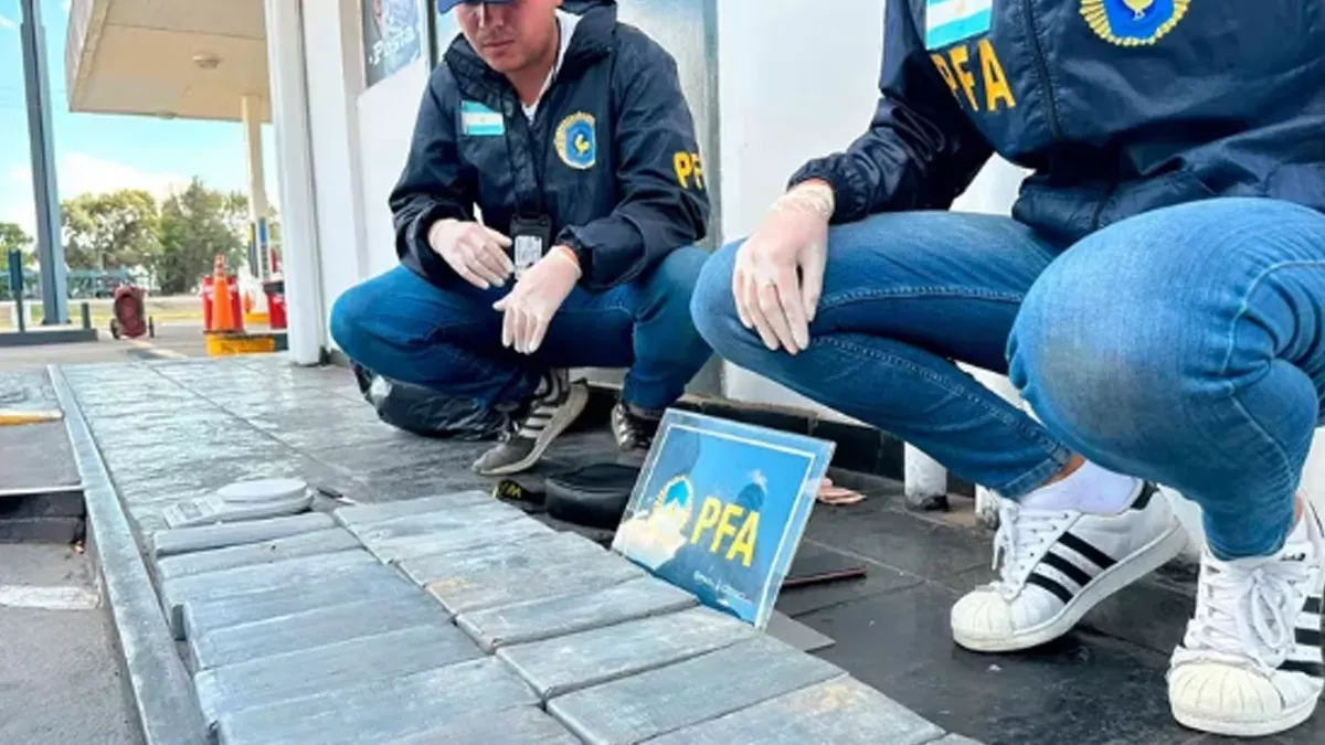 rosario-narco-25k-cocaina-pfa-2jpg