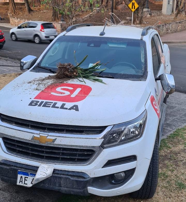 3f967a2f-e45c-4402-b30a-8e7d8e1cdfa2