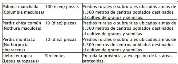 pesca 2