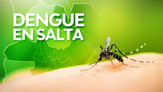 88092-hasta-hoy-se-confirmaron-156-casos-de-dengue-en-la-provincia