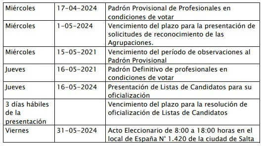 cronograma electoral consejo ciencias económicas