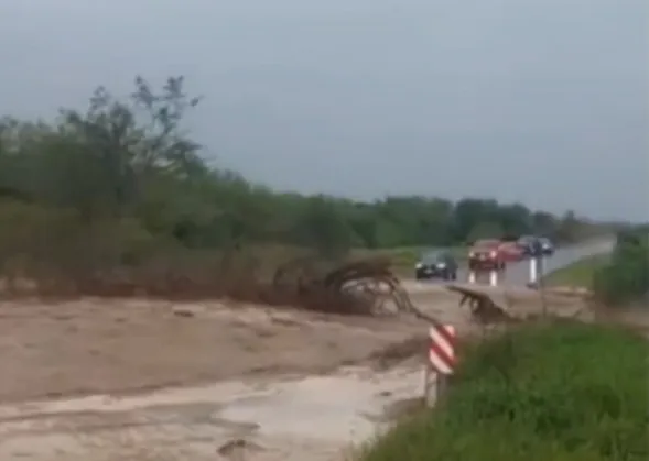 WhatsApp Image 2026-01-07 at 20.48.04