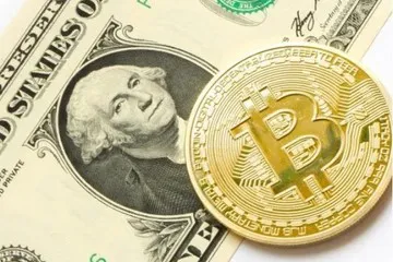 Qn1D3NYvW_360x240__1