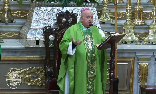 monseñor cargnello novena