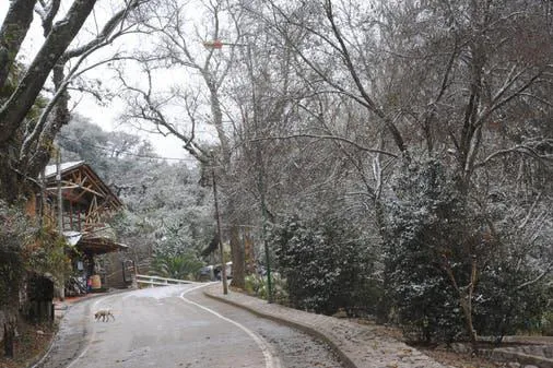 multimedia.miniatura.b087c9a099490705.636c696d612073616e206c6f72656e7a6f5f6d696e6961747572612e6a7067