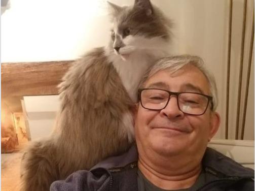 martin grande gato